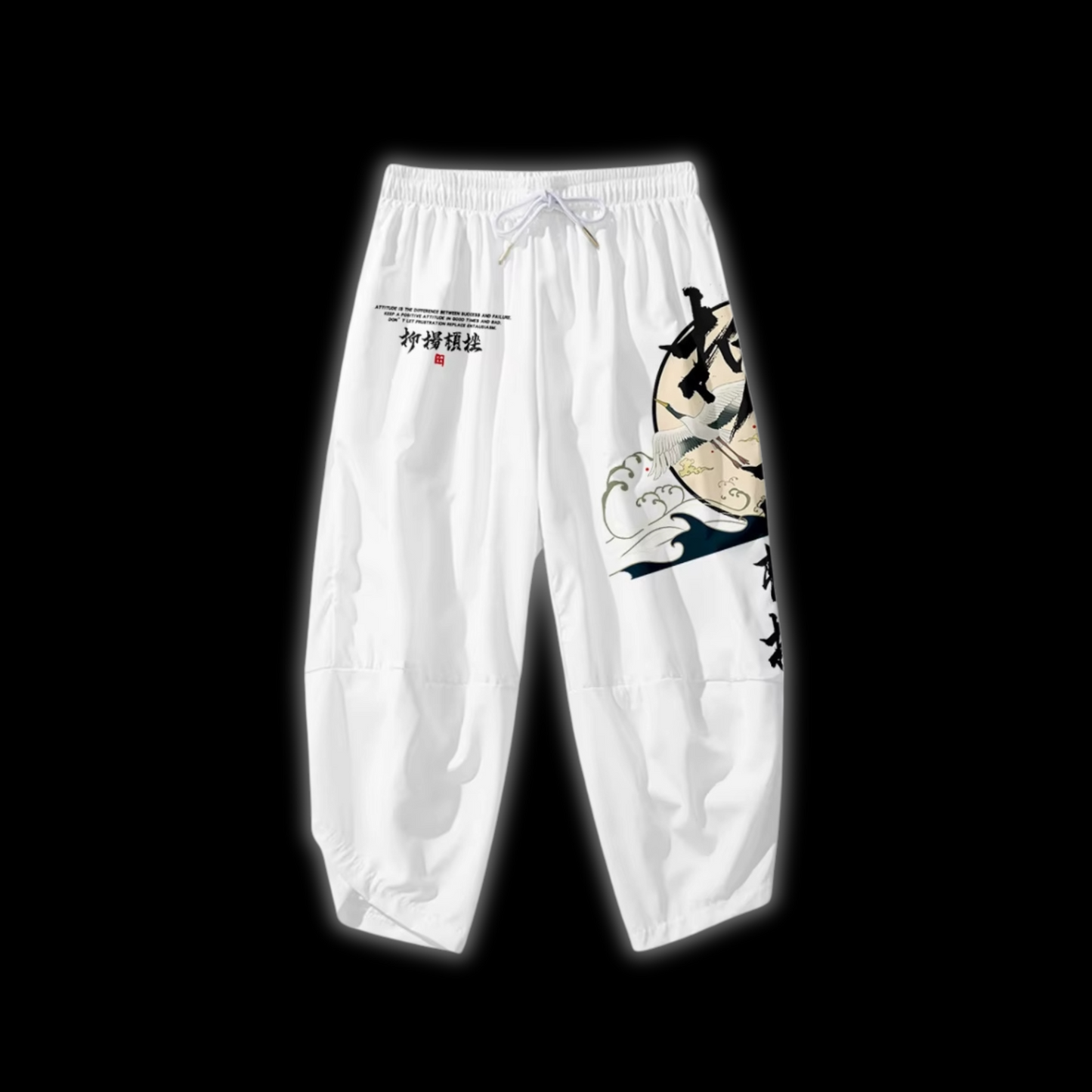 Japan Baggy Pants